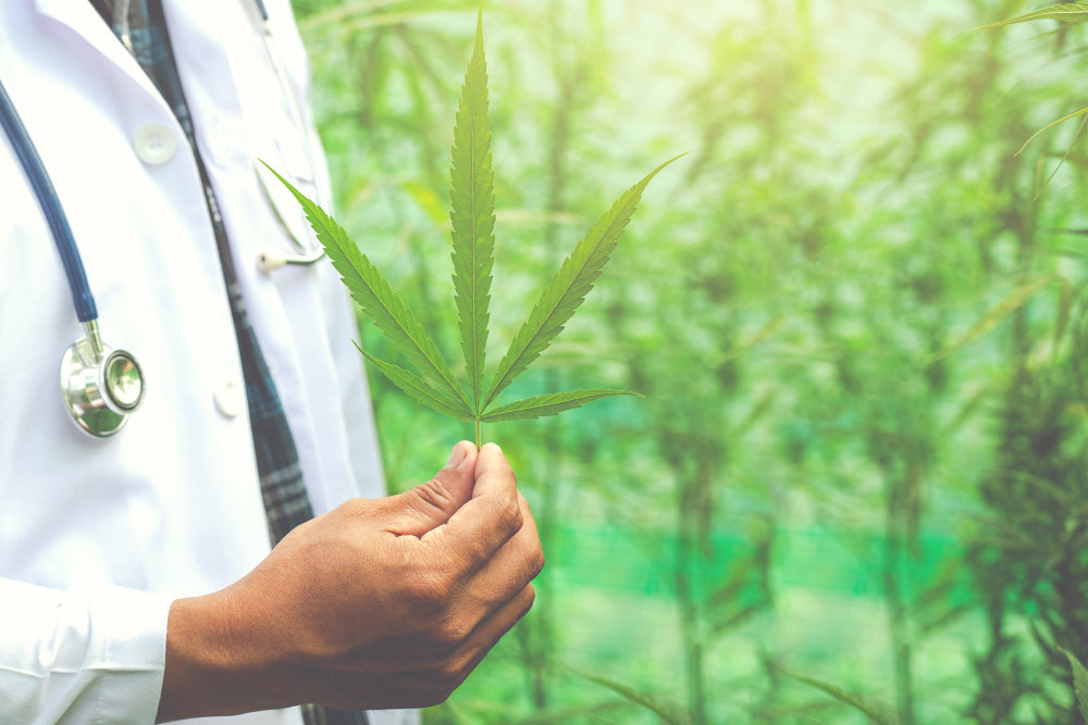 What is CBD bioavailability and why is it important to understand?